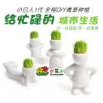 원피스 DIY 사무실 미니 식물 화분 잔디 성장하는 작은 백인 잔디 인형 X 연인 선물의 그림