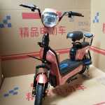전기 자동차 성인 이륜 전기 자동차 자동차 배터리 자동차 전기 자전거 이동성 스쿠터 레저 자동차 48V의 그림