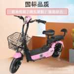 새로운 산두 이륜차 전기 자전거 배터리 분리형 미니 전기 자전거의 그림