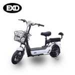 새로운 산두 이륜차 전기 자전거 배터리 분리형 미니 전기 자전거의 그림