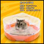 햄스터 욕실 욕실 대형 욕실 화장실 커플 욕실 트라이앵글 사우나 욕실 욕실 화장실 싱글 포트 욕실의 그림