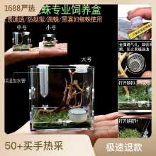 점프 거미 먹이 상자 작은 비 트랩 아쿠아 스케이프 상자 가습기 먹이 포트가있는 플로리다 점프 거미 곤충의 그림