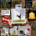 점프 거미 먹이 상자 작은 비 트랩 아쿠아 스케이프 상자 가습기 먹이 포트가있는 플로리다 점프 거미 곤충의 그림