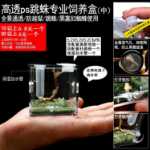 점프 거미 먹이 상자 작은 비 트랩 아쿠아 스케이프 상자 가습기 먹이 포트가있는 플로리다 점프 거미 곤충의 그림