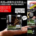 점프 거미 먹이 상자 작은 비 트랩 아쿠아 스케이프 상자 가습기 먹이 포트가있는 플로리다 점프 거미 곤충의 그림