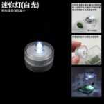 점프 거미 먹이 상자 작은 비 트랩 아쿠아 스케이프 상자 가습기 먹이 포트가있는 플로리다 점프 거미 곤충의 그림