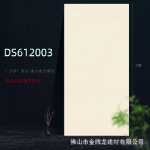 새틴 대리석  600 * 1200 세라믹 타일의 그림