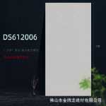 새틴 대리석  600 * 1200 세라믹 타일의 그림