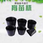 플라스틱  원예 꽃 화분의 그림