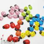 무당 벌레  장식용 액세서리의 그림