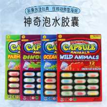 물 팽창 캡슐 알약 흡수성 장난감의 그림