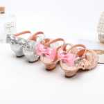 다이아몬드 공주 신발의 그림