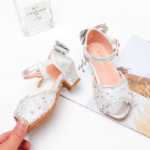 다이아몬드 공주 신발의 그림