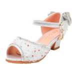 다이아몬드 공주 신발의 그림