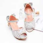 다이아몬드 공주 신발의 그림