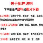 비데 크로스 보더의 그림