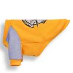 반려동물 의류의 그림