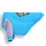 반려동물 의류의 그림