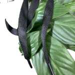 넓은 신발 끈 신발 액세서리의 그림