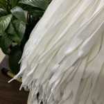 넓은 신발 끈 신발 액세서리의 그림