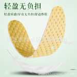 민트 깔창 일회용의 그림