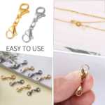 스테인레스 스틸 더블 랍스터 걸쇠의 그림