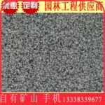 검은 화강암의 그림