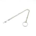 앵무새 발찌의 그림