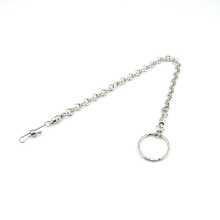 앵무새 발찌의 그림