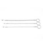 앵무새 발찌의 그림