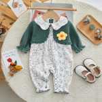 아기 옷의 그림