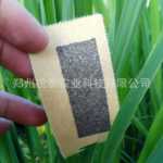 붉은 눈 말벌의 그림