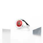 애니메이션  반지의 그림