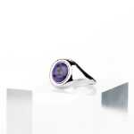 애니메이션  반지의 그림