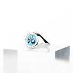 애니메이션  반지의 그림