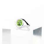 애니메이션  반지의 그림