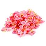 애완 동물 보석의 그림