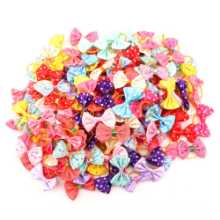 애완 동물 액세서리의 그림