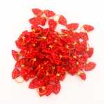 애완 동물 액세서리의 그림