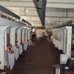 스포츠 두건 사이클링의 그림