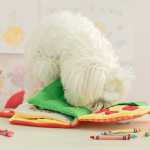 애완 동물 장난감의 그림