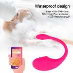 블루투스 휴대 전화 앱 에로틱 원격 대화 형 점퍼 마사지기 / 성인용 제품 여성 액체 실리콘 섹스 토이의 그림