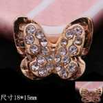 나비 액세서리의 그림