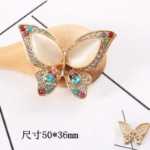 나비 액세서리의 그림