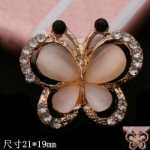 나비 액세서리의 그림