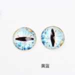 8 ~ 12mm 높이의 투명 유리 아이 피스 보석 액세서리의 그림