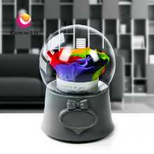 영원한 꽃 오르골 크리스탈 볼의 그림