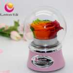 영원한 꽃 오르골 크리스탈 볼의 그림