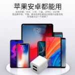 휴대폰 충전기 USB 어댑터 일본 PSE 인증의 그림