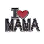 패션 장식 브로치의 그림